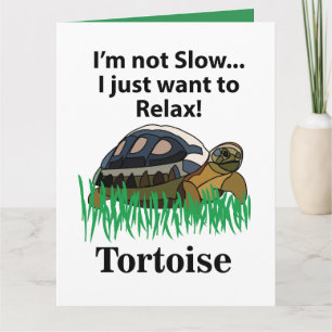 Tortoise Relax Tier Niedlicher Sonnenschein Karte