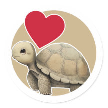 Tortoise