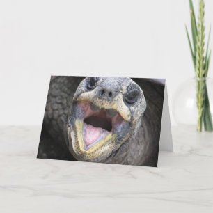 Tortoise sagt Hallo! Karte