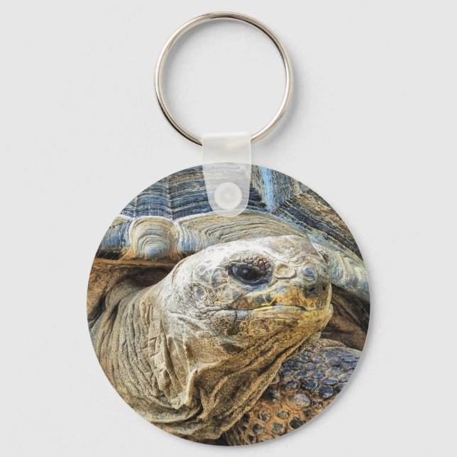 TORTOISE SCHLÜSSELANHÄNGER (Vorderseite)