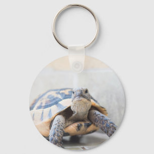 Tortoise Schlüsselanhänger