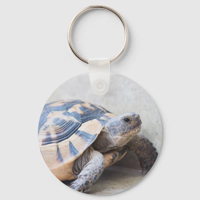 Tortoise Schlüsselanhänger (Vorderseite)
