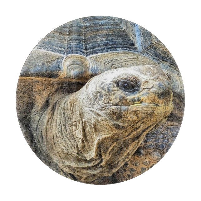 TORTOISE SCHNEIDEBRETT (Vorderseite)