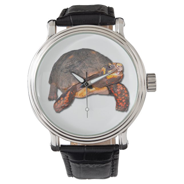 Tortoise Watch Armbanduhr (Vorderseite)