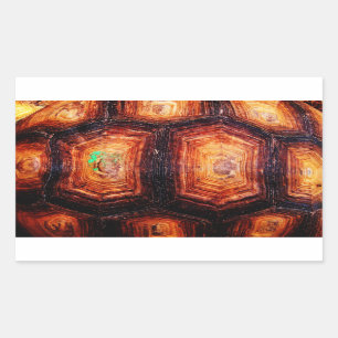 Tortoisesch Rechteckiger Aufkleber