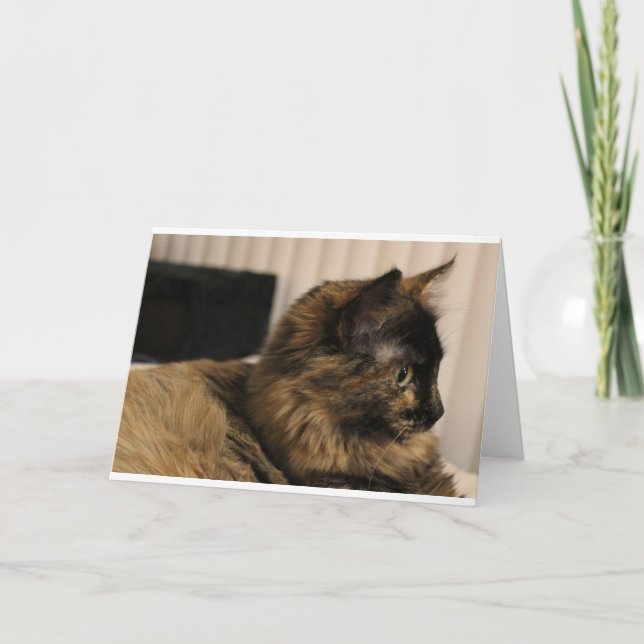Tortoiseshar Cat Grußkarte - innen leer Karte (Vorderseite)