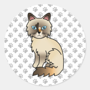 Tortoiseshell Birman / Ragdoll Niedlich Cat & Paws Runder Aufkleber