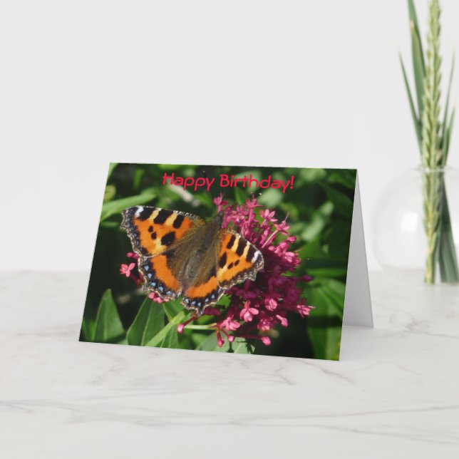 Tortoiseshell Butterfly Karte (Vorderseite)