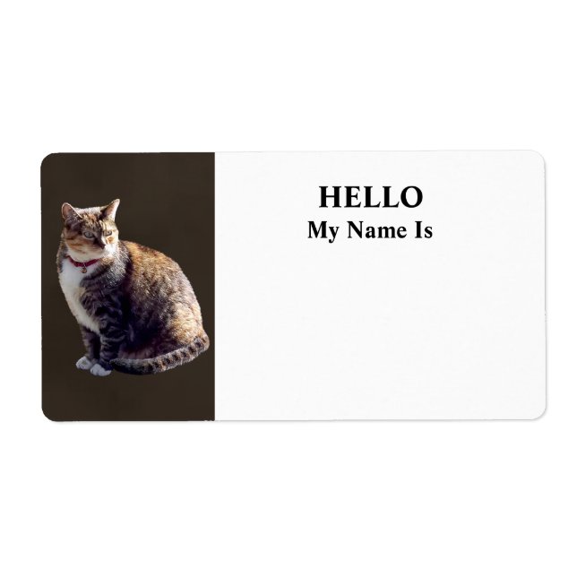 Tortoiseshell Cat (Vorne)