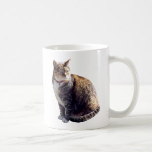 Tortoiseshell Cat Kaffeetasse