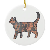 Tortoiseshell Cat