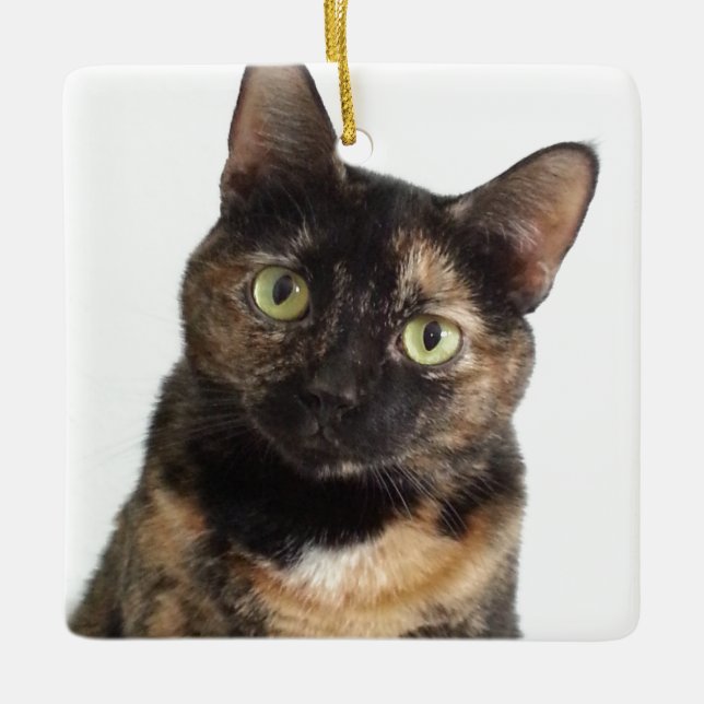 Tortoiseshell Cat Keramikornament (Vorderseite)