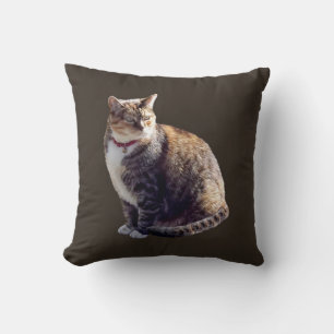 Tortoiseshell Cat Kissen