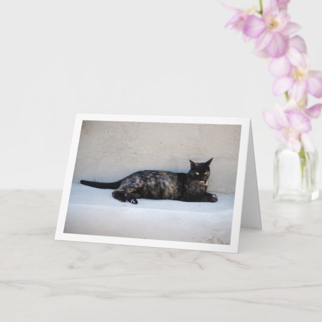 Tortoiseshell Cat Portrait Karte (Orchidee)