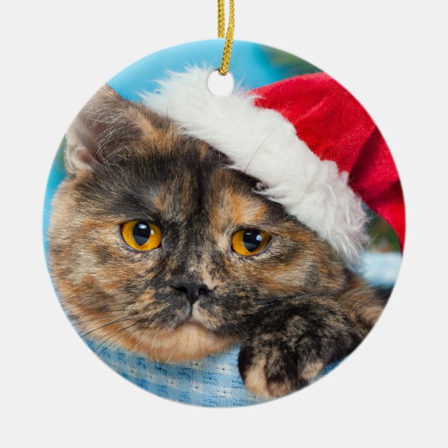 Tortoiseshell Cat Purr-fect Feriensaison Keramik Ornament (Vorne)