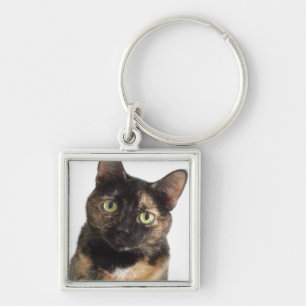 Tortoiseshell Cat Schlüsselanhänger