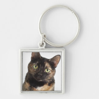 Tortoiseshell Cat Schlüsselanhänger