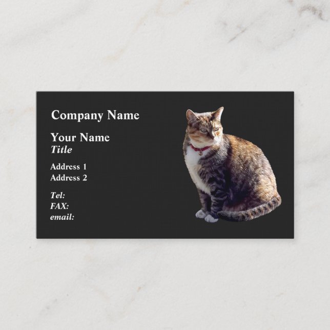 Tortoiseshell Cat Visitenkarte (Vorderseite)