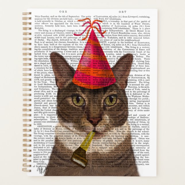 Tortoiseshell Chat mit Party Hat Planer (Vorderseite)