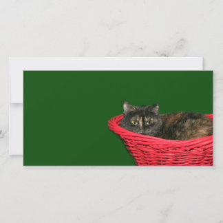 Tortoiseshell Feiertagskarte