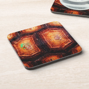 Tortoiseshell Getränkeuntersetzer