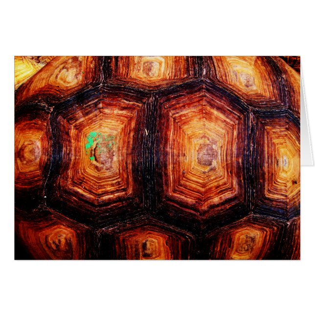 Tortoiseshell-Karte (Vorderseite (Horizontal))