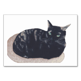 Tortoiseshell Kat Reading Flashcards für Erwachsen Tischnummer