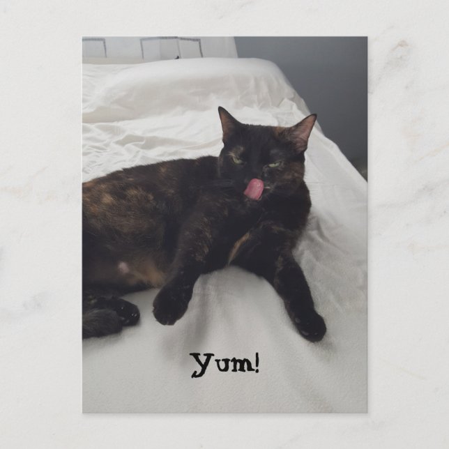 Tortoiseshell Katzenzunge Kaugummi Postkarten (Vorderseite)