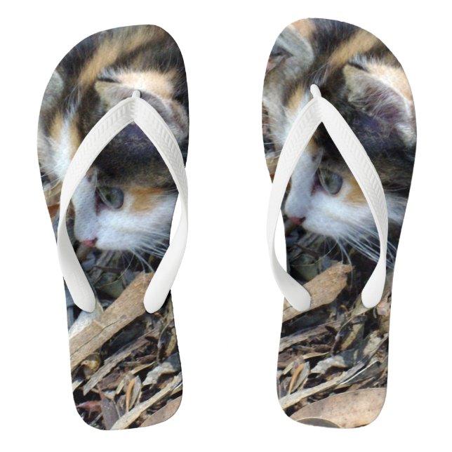 Tortoiseshell Kitten Watching Bugs, Flip Flops (Fußbett)