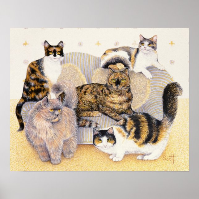 Tortoiseshell ladies poster (Vorne)