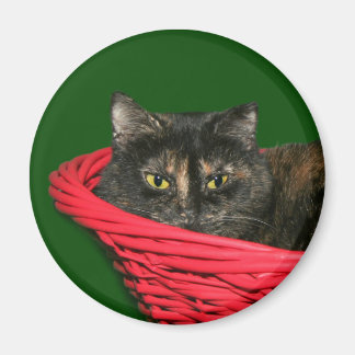 Tortoiseshell Magnet