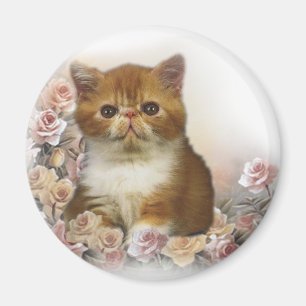 Tortoiseshell Persian Magnet