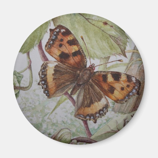 Tortoiseshell Schmetterlingmagnet Magnet (Vorne)