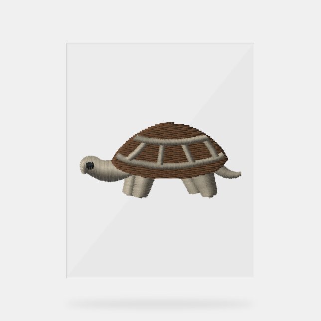 Tortue (Recto)
