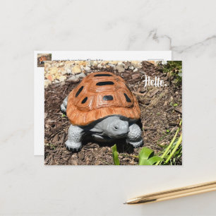 Tortue boîte, Bonjour ou votre texte, Cartes posta