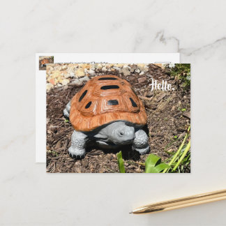 Tortue boîte, Bonjour ou votre texte, Cartes posta