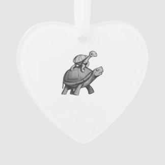 Tortue chevauche une tortue