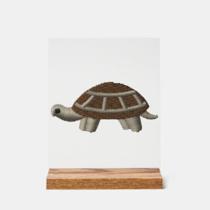 Tortue Copie Copie Copie Copie Copie Copie Copie C