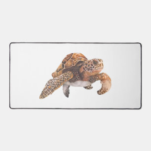 Tortue Copie Copie Copie Copie Copie Copie Copie C