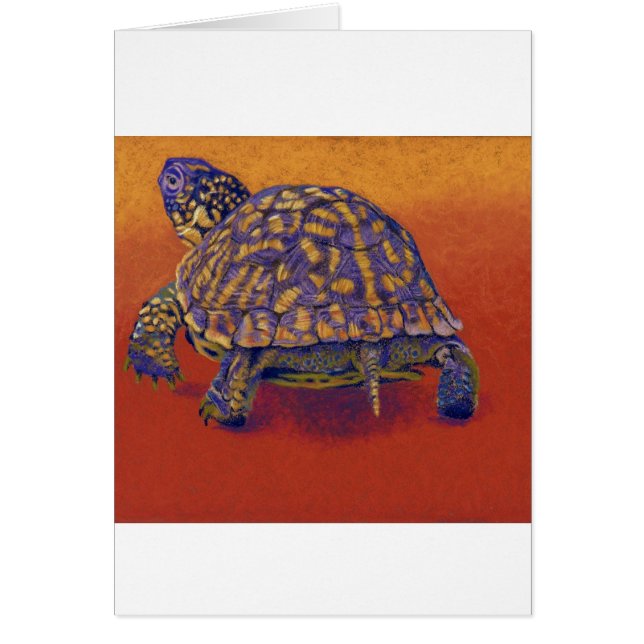 Tortue de boîte, tortue (Devant)