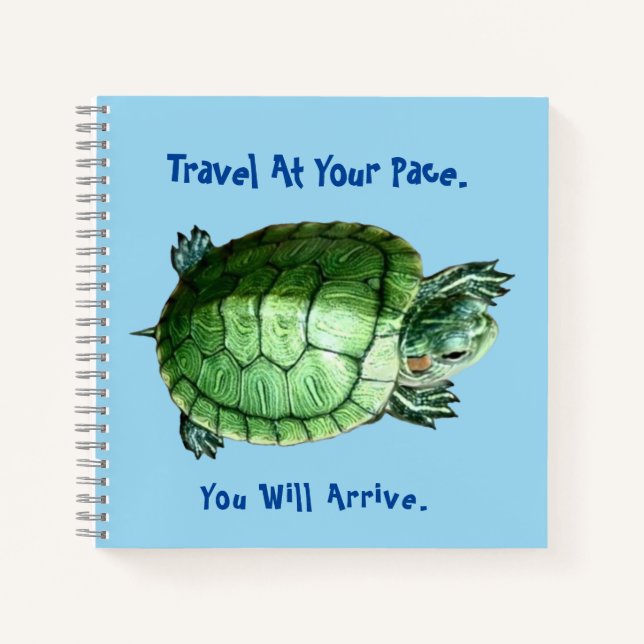 Tortue de cahier (Devant)