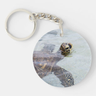 Tortue de mer hawaïenne de Honu - tortues d'Hawaï