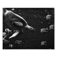 Tortue de mer - Impression photo