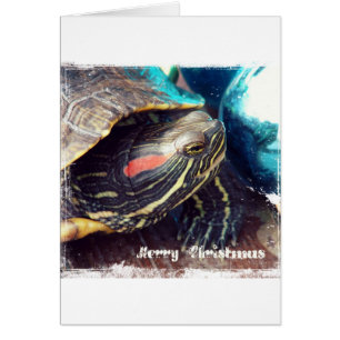 Tortue de Noël