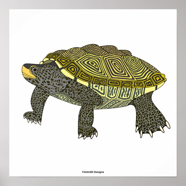Tortue diamantée (blanche) - Affiche imprimée (Devant)