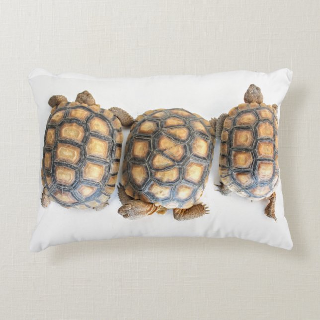 Tortue du désert / Coussin de tortue (Devant)