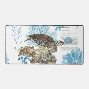 Tortue marine peinte à la main