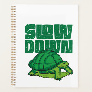 Tortue Marine Tortue Terrestre Ralentir Copie