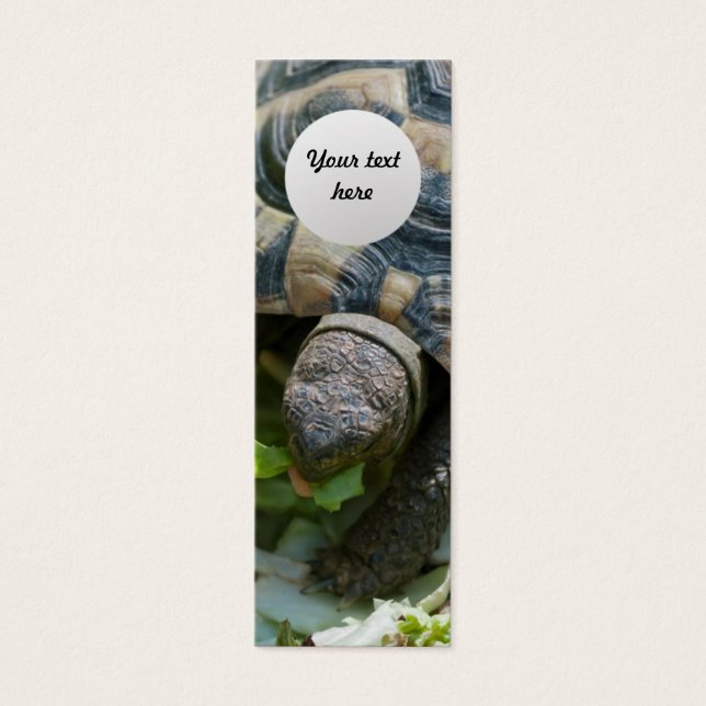 Tortue mignonne (Devant)