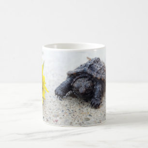 Tortue mousseuse et mug de pissenlit